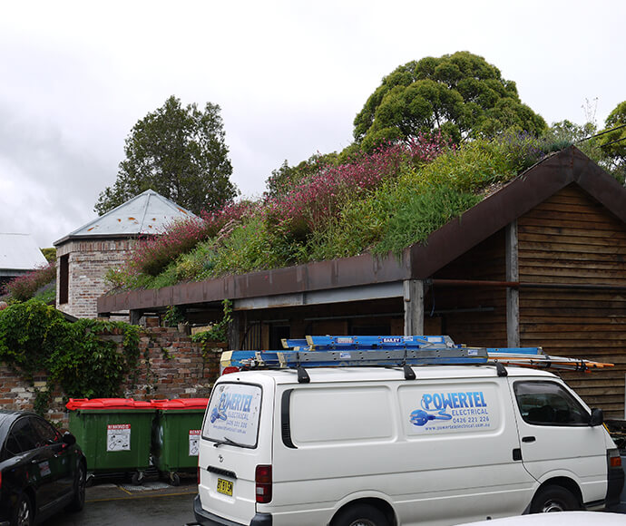White van in foreground and a wooden shed behind it with pitched roof and garden growing on roof top. 